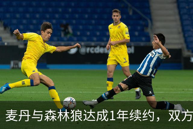 麦丹与森林狼达成1年续约，双方皆感满意
