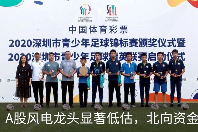 A股风电龙头显著低估，北向资金持续关注